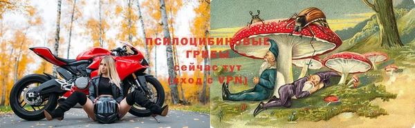 mdma Дмитровск